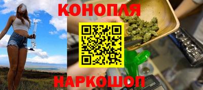 сатива Гатчина